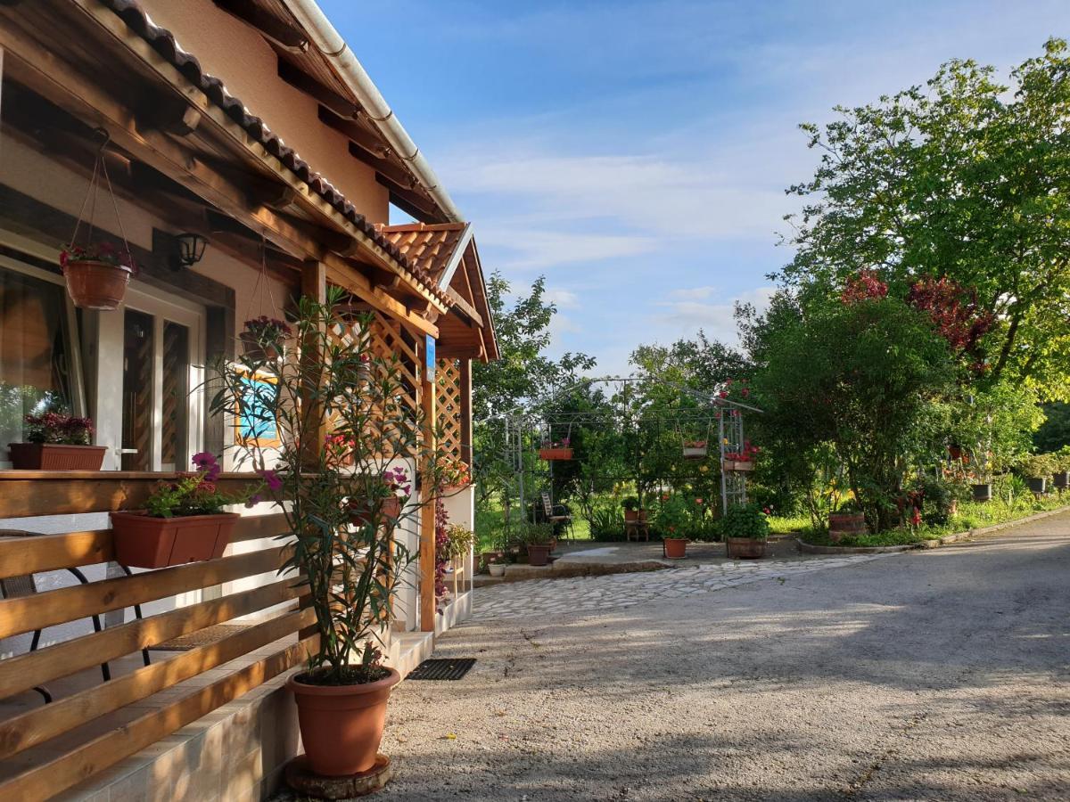 Apartment Liso Seliste Dreznicko Exterior foto
